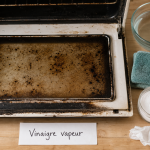 Nettoyer four vinaigre blanc : vapeur à 100°C, bol vinaigre et éponge microfibre