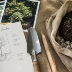 arbre a planter : fiche, mètre ruban et motte de terre pour choisir l’ombre, l’espace, la taille adulte